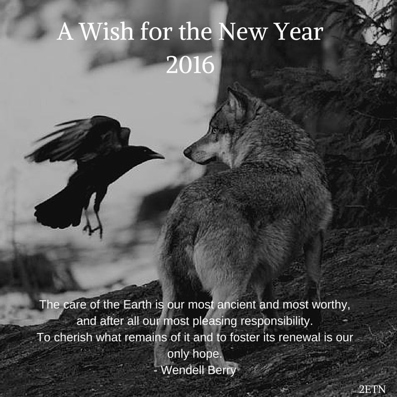 A Wish for the New Year